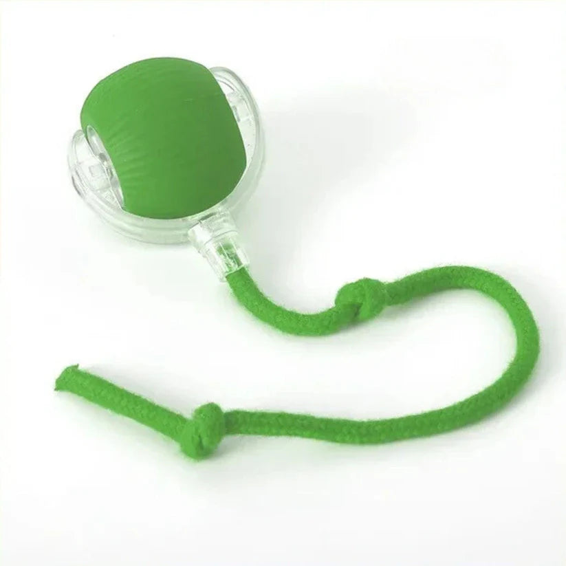 Interactive Cat Toy