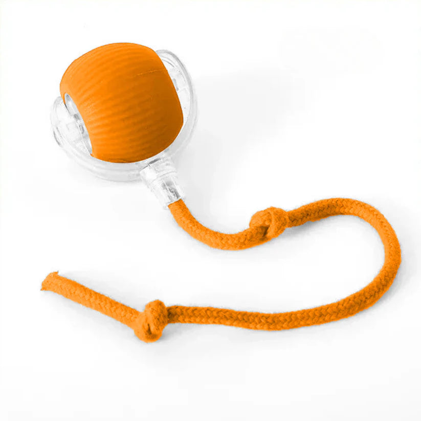 Interactive Cat Toy